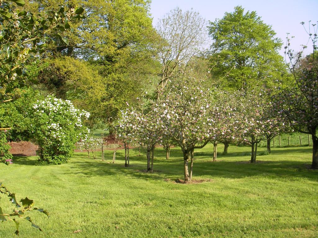 دونجانون Grange Lodge Country House المظهر الخارجي الصورة