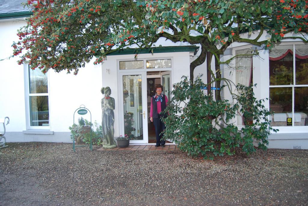 دونجانون Grange Lodge Country House المظهر الخارجي الصورة